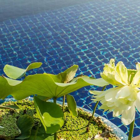Villa Alpha - Seaview Private Villa Choeng Mon エクステリア 写真